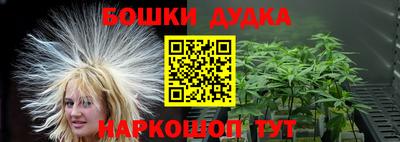 шишки Партизанск